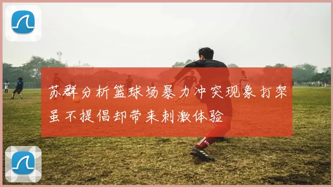 苏群分析篮球场暴力冲突现象打架虽不提倡却带来刺激体验