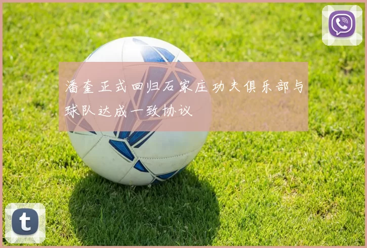 潘奎正式回归石家庄功夫俱乐部与球队达成一致协议